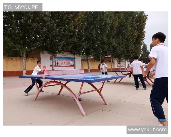 王丽独家揭秘乒乓球技巧与心得分享助你提升球技的秘诀